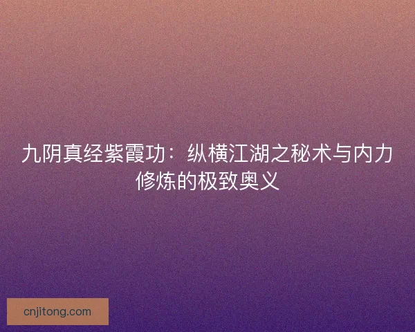 九阴真经紫霞功：纵横江湖之秘术与内力修炼的极致奥义