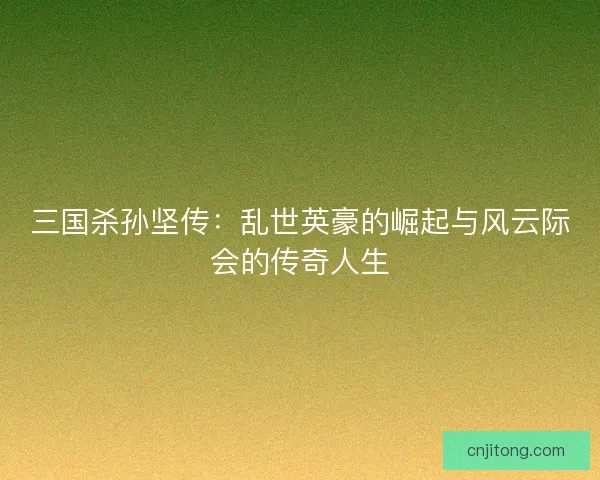三国杀孙坚传：乱世英豪的崛起与风云际会的传奇人生