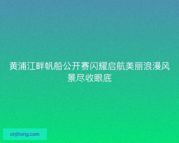 黄浦江畔帆船公开赛闪耀启航美丽浪漫风景尽收眼底